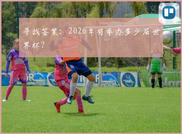寻找答案：2026年将举办多少届世界杯？