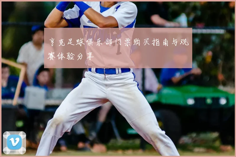 亨克足球俱乐部门票购买指南与观赛体验分享