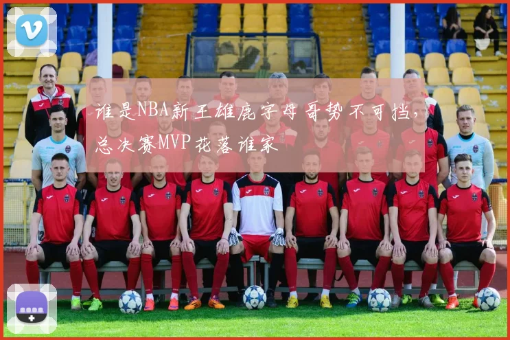 谁是NBA新王雄鹿字母哥势不可挡,总决赛MVP花落谁家