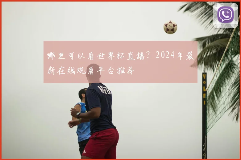 哪里可以看世界杯直播？2024年最新在线观看平台推荐